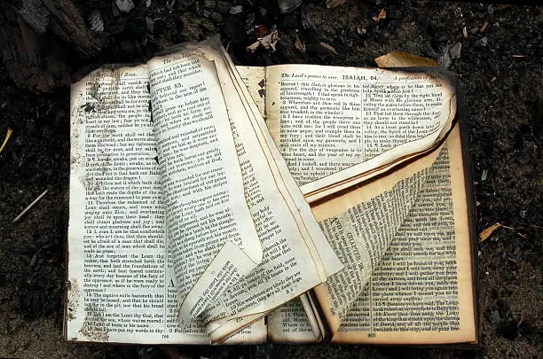 Photo of Burned Book