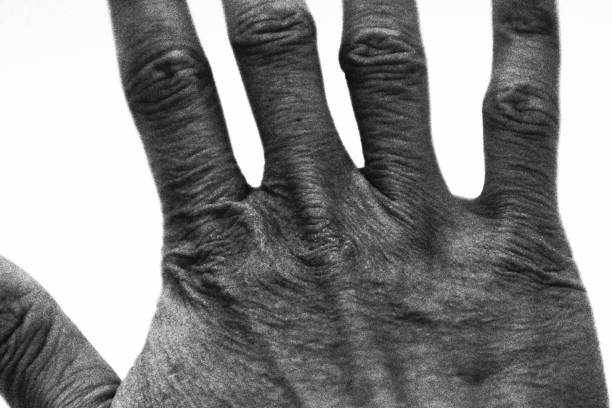 Macro human palm print,palm pattern macro shot . fingerprinting concept,