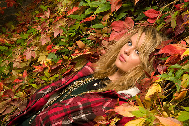 Autumn stock photo