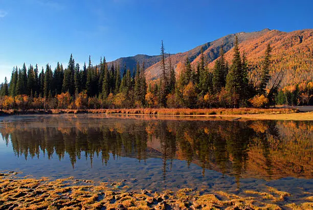 Picturesque scene of lake and forest