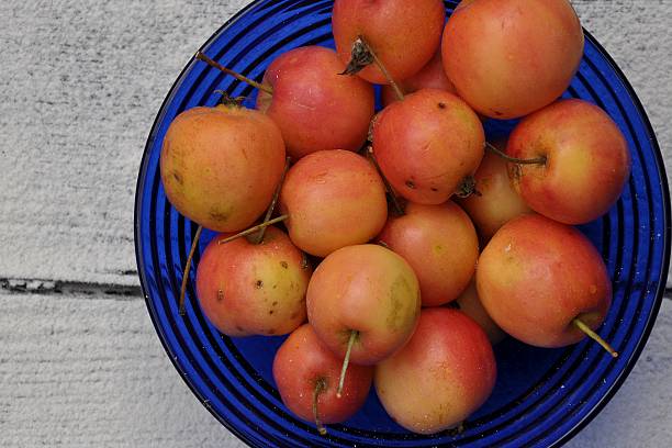 istock Orange Apples in Blue Bowl 160044620