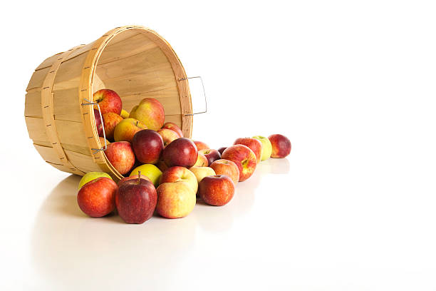 Bushel of Apples on White