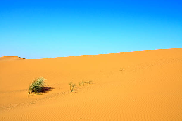 모래 언덕 - landscape desert wave pattern erg chebbi dunes 뉴스 사진 이미지