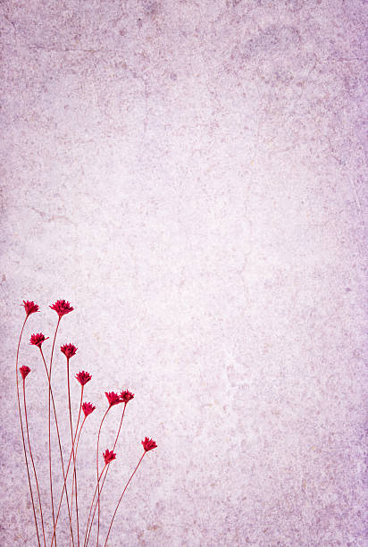 Textura de fundo com flores - foto de acervo