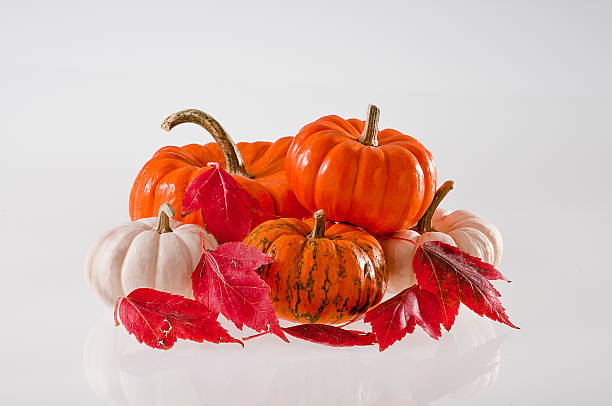 Pumpkins and Autumn Leaves stock photo