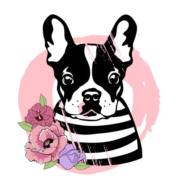 Vector illustration of French bulldog with flowers. Cute black and white dog in a striped sweater. Vector illustration