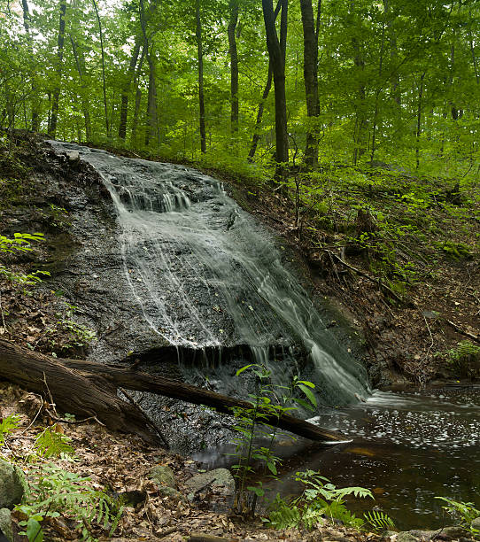 istock Waterfall in New England woods 160045825
