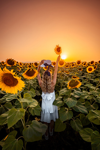 Beautiful young woman with a hat in a field of sunflowers, sunset photo