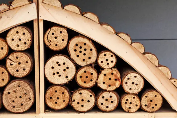 part of an insect hotel