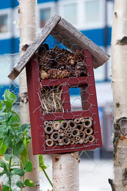 modern insect hotel in the center of Ovik