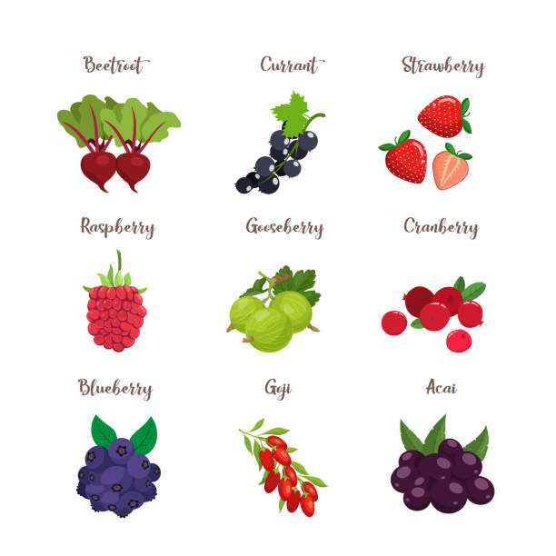 ilustrações de stock, clip art, desenhos animados e ícones de set of colorful cartoon berries: blueberry, blackberry, cherry, raspberry, rcurrant, strawberry. vector flat icon illustration, isolated on white - blackberry currant strawberry antioxidant