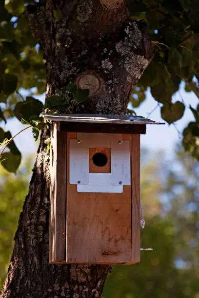an ordinary birdhouse in autumn light