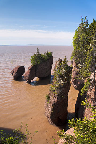 istock Hopewell Rocks 160047745