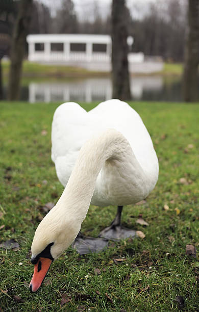 istock November in the city park 160047851