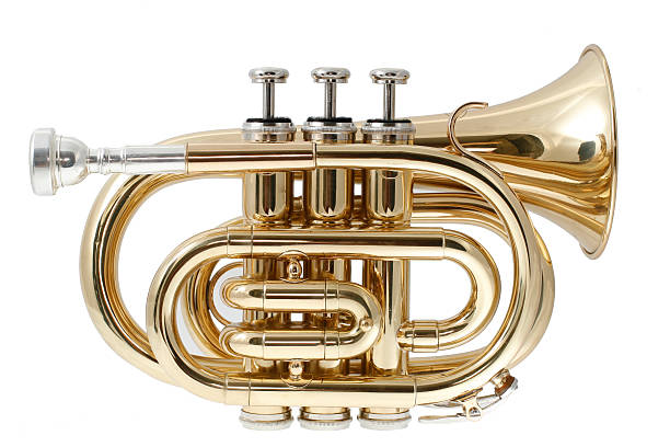 istock golden pocket trumpet 160047888