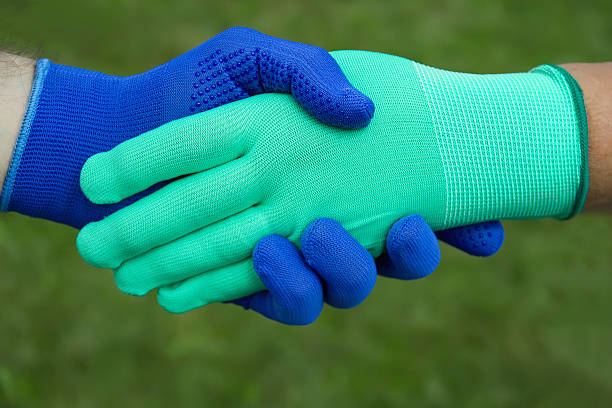 istock hands in colorful gloves 160048646