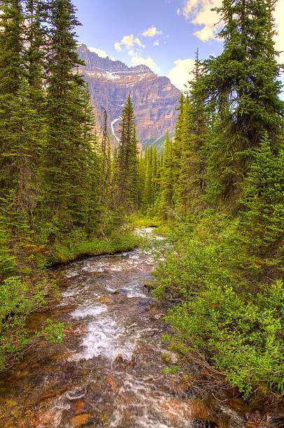 istock Falls in the Canadian Rockies 160048971