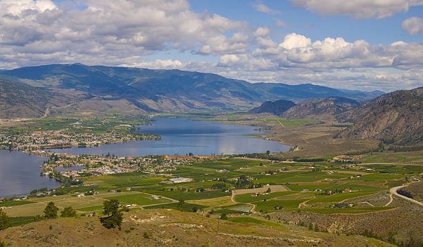 veduta aerea di osoyoos vino valley - lake osoyoos foto e immagini stock