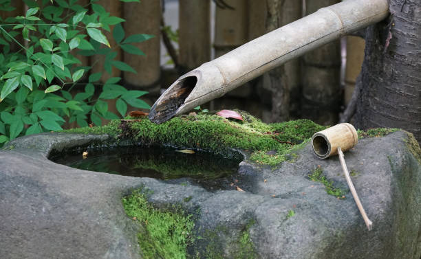 istock traditional Japan garden 1600489926