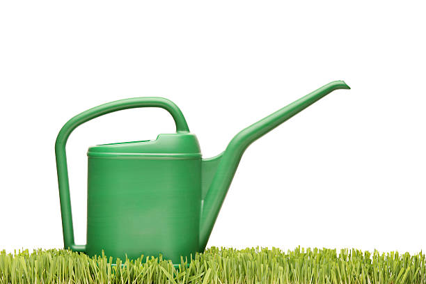 istock Watering can on a green grass 160049259