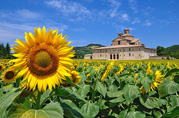 ducal park, urbania stock photo