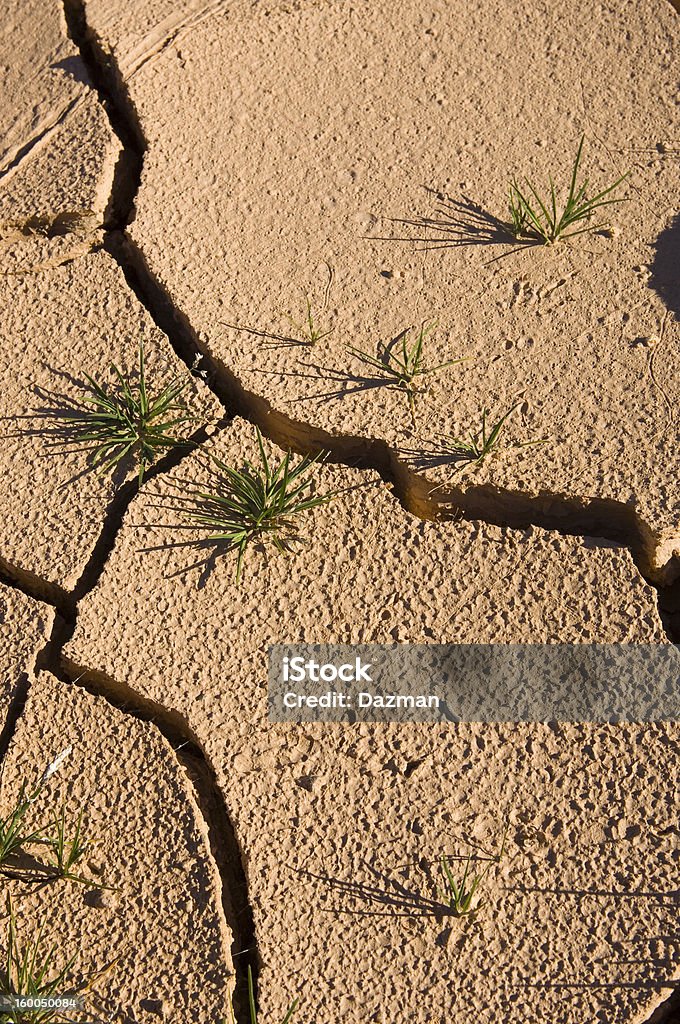 Seco claypan rotas durante la sequía. - Foto de stock de Agrietado libre de derechos