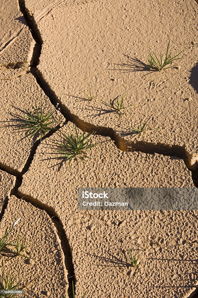 Seca Fissuras claypan durante uma seca. - Royalty-free Alterações climáticas Foto de stock