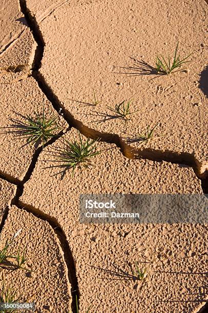 Seca Fissuras Claypan Durante Uma Seca - Fotografias de stock e mais imagens de Alterações climáticas - Alterações climáticas, Ao Ar Livre, Condições Meteorológicas