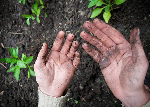 Spring Hands