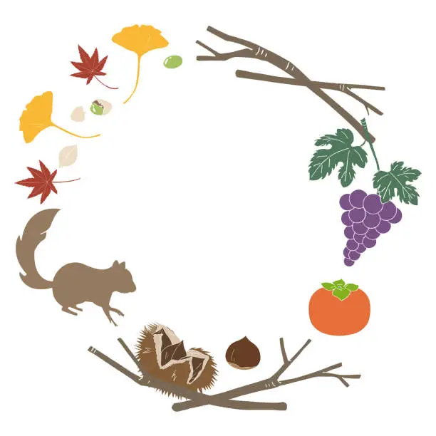 Vector illustration of Squirrel and autumn leaves, autumn flavors frame, vector material.