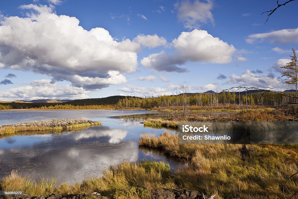 Grassland und wetland - Lizenzfrei Baum Stock-Foto