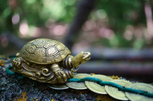istock A metal turtle with Chinese coins. 1600503840