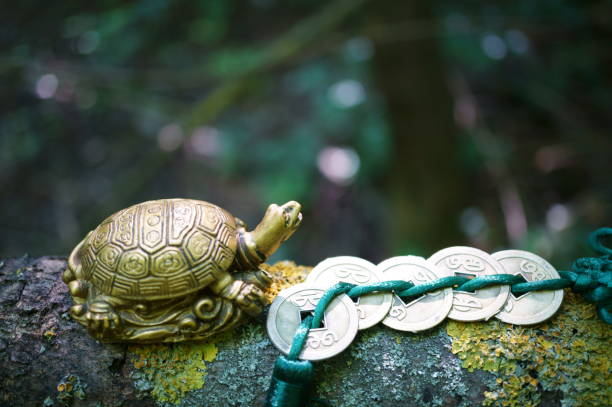 istock A metal turtle with Chinese coins. 1600503846