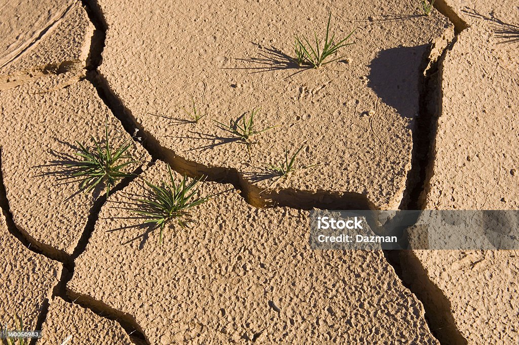 Sèches et craquelées claypan lors de la sécheresse. - Photo de Aride libre de droits