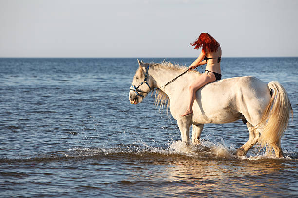 istock Woman swimming with horse 160051166