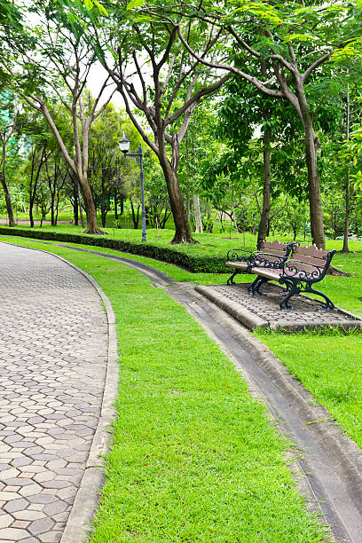 istock chair in the park 160051447