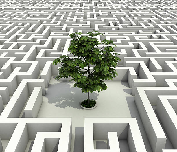istock tree in the middle of endless maze 160051517