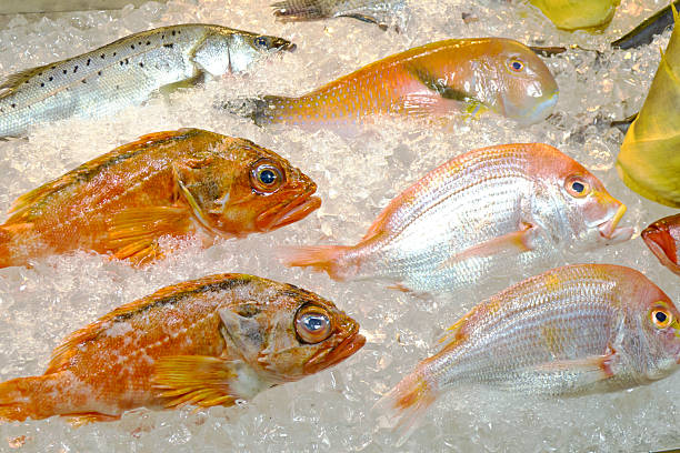 istock Fresh fish on ice decorated for sale 160051575