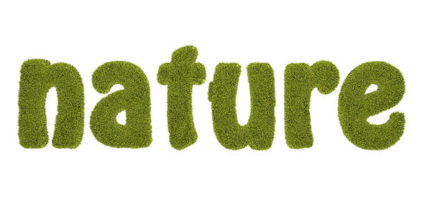istock nature written with grassy 160052139