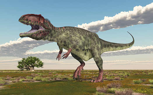 Computer generated 3D illustration with the dinosaur Giganotosaurus in a landscape