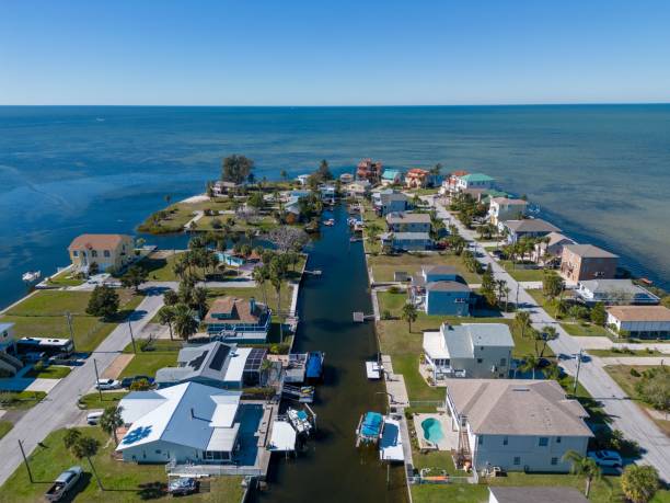 vista aérea de un barrio de new port richey, florida, rodeado de vegetación - port richey fotografías e imágenes de stock