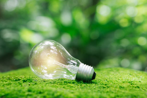 istock Renewable Energy concept.Lightbulb on moss with nature background.Environmental protection concept. 1600527314
