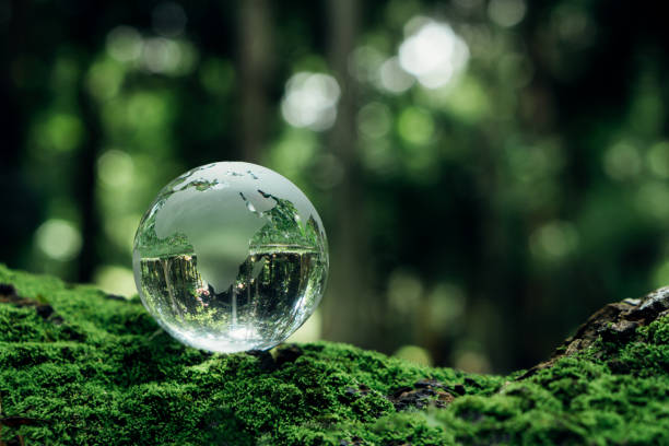 istock Crystal earth on moss with nature background.Environment, save clean planet, ecology concept.World sustainable environment concept. 1600528457