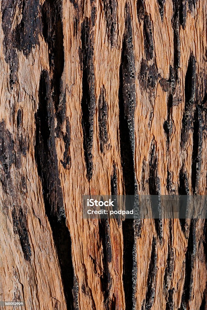 Old Wooden Texture Close up Old wood Abstract Stock Photo