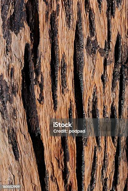 Old Wooden Texture Stock Photo - Download Image Now - Abstract, Backgrounds, Brown