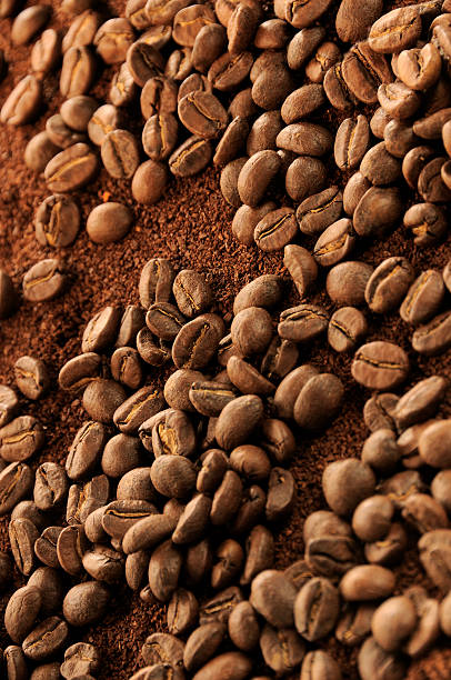 coffee beans stock photo