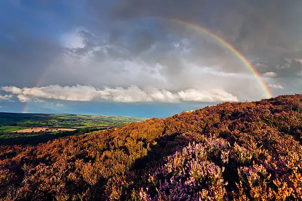 I made this image at the weekend just above Ilkley. The clouds were amazing and I just managed to get the late evening sun to catch the heather, before the rainbow disappeared!