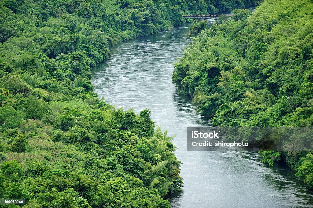 Тропическая Река - Стоковые фото Без людей роялти-фри