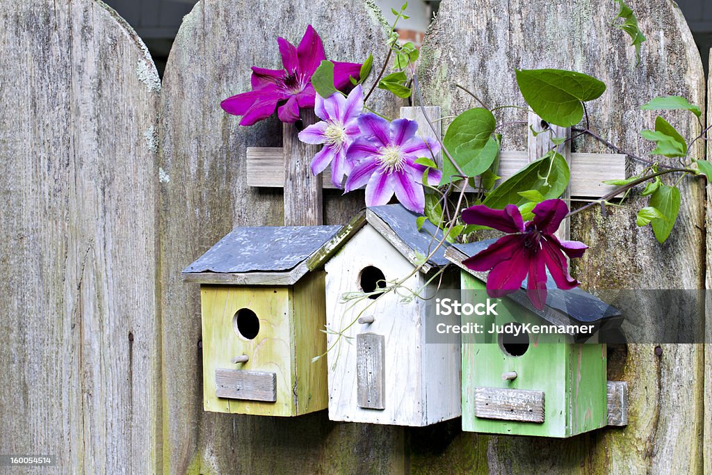 Tres birdhouses en old wooden valla - Foto de stock de Agujero libre de derechos