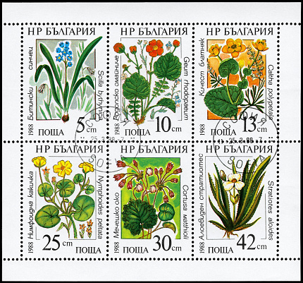 A Stamp sheet printed in BULGARIA shows set of the Flowers, from the series \